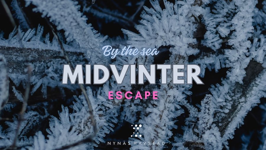 Primary image of Mindviter Escape
