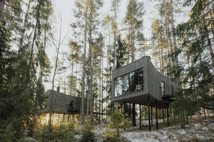 Primary image of Winter offer