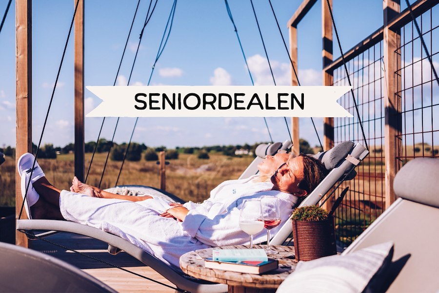 Primärbild av SENIORDEALEN