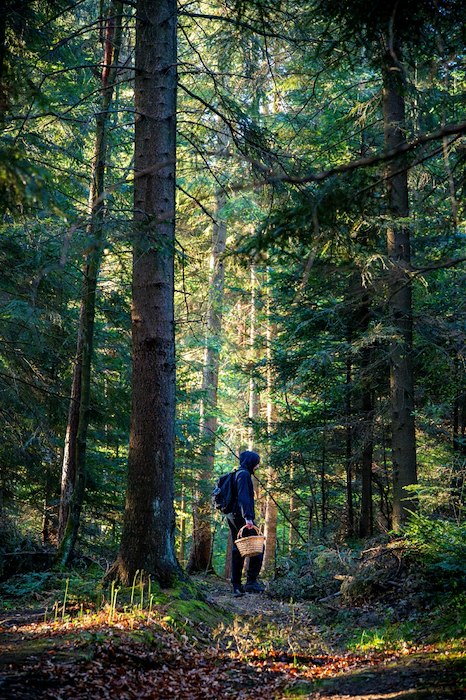 Hauptbild von Pilgrimsleden - Vandringspaket