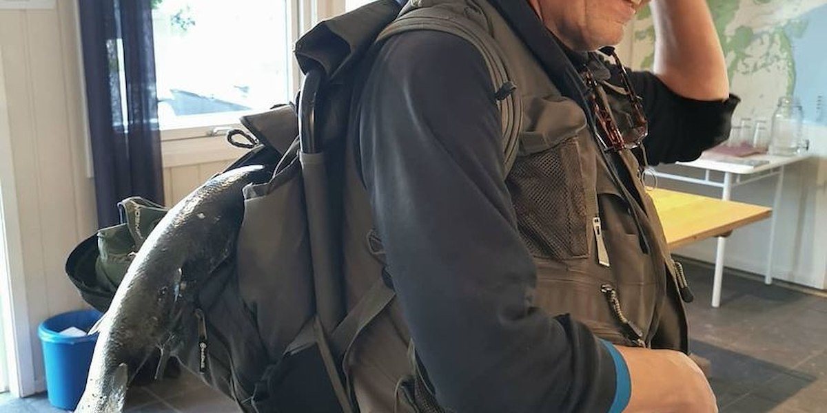 Stabbursdalen Resort image 18