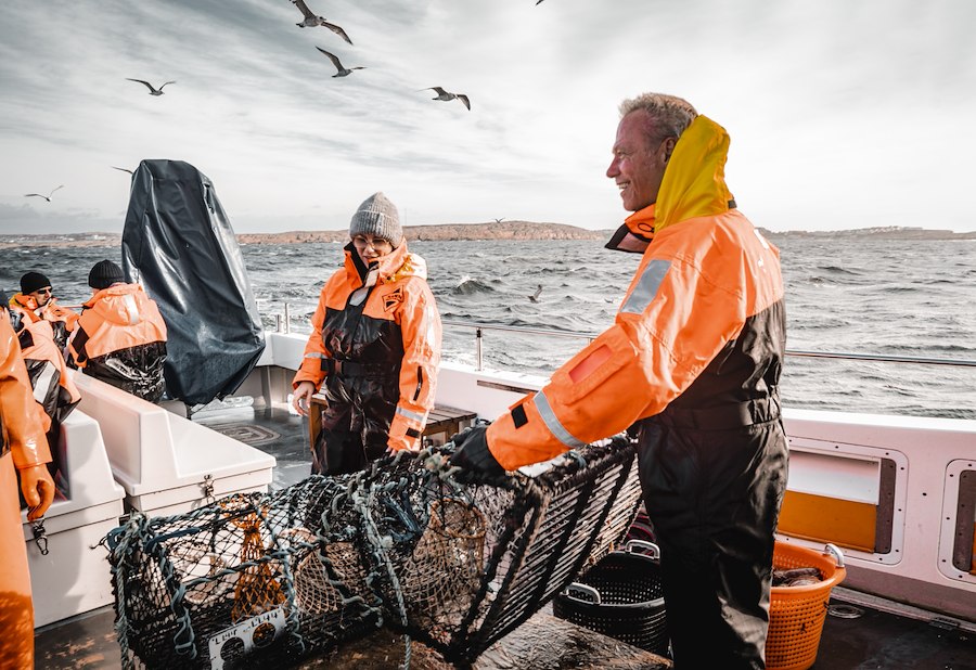Primary image of Lobster safari