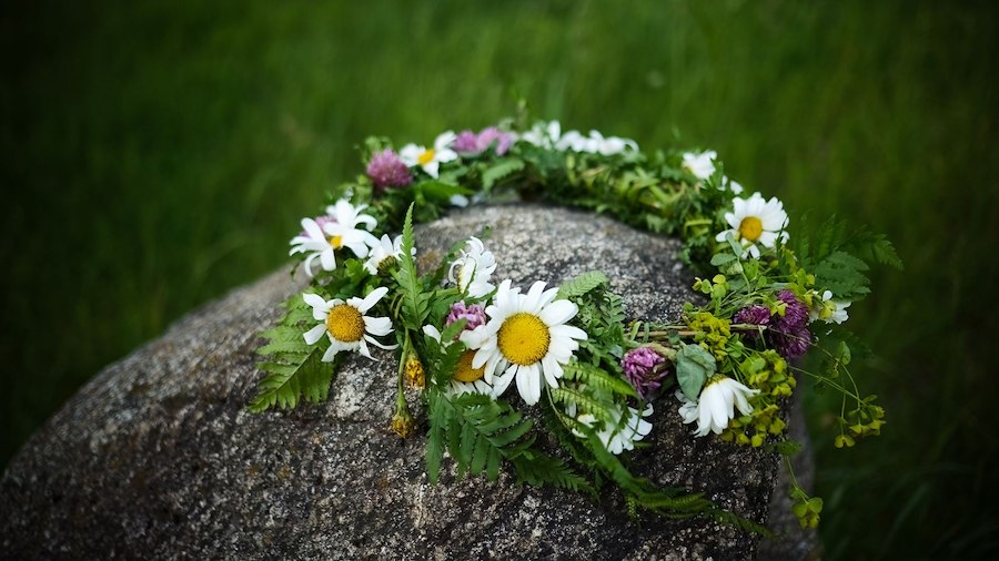 Primary image of Midsummer at Skytteholm