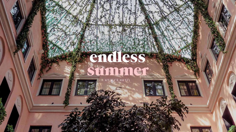 Primary image of Endless Summer