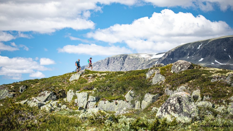 Vandring & fjellturer-image
