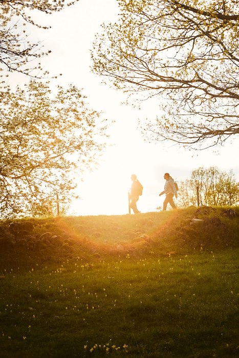 Primary image of Vandringspaket