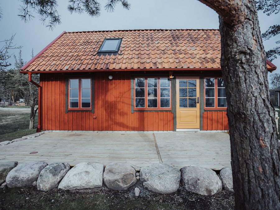 Höstlovsmys i Honungsboden