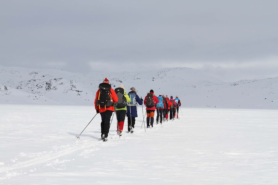 På ski fra Halne til Finse