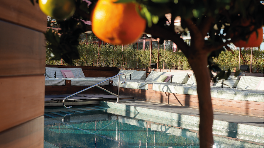 Primärbild av EARLY BIRD SUMMER