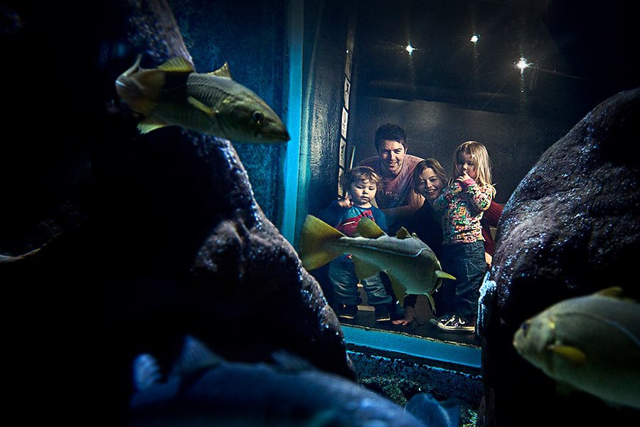 Primary image of Fun family adventures in Bohuslän