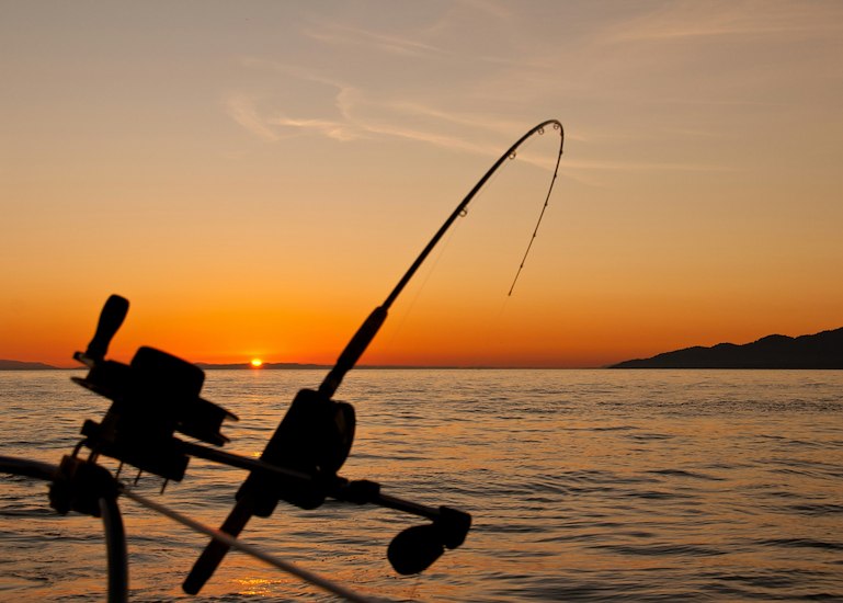 Fishing-image