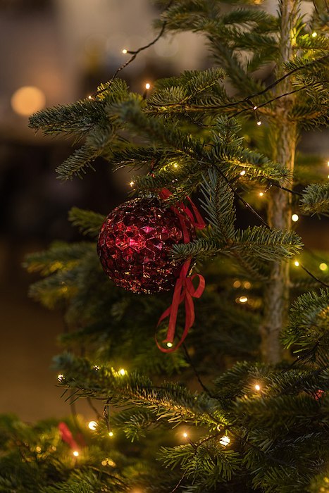 Primary image of Julafton på gården