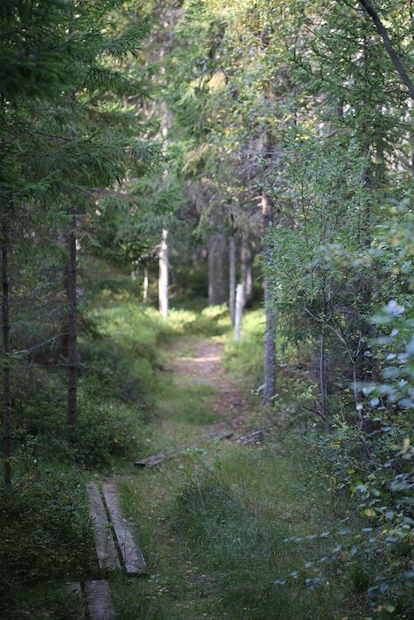 Primärbild av Må Bra - Lata sommardagar på Loka