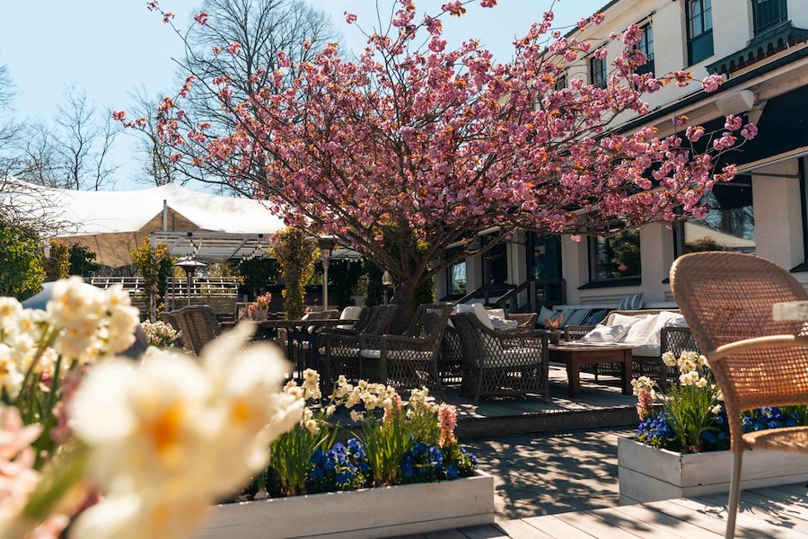 Primärbild av SPRING FLING 30%