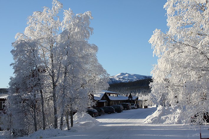 Primärbild av Köjagårdens Julpaket