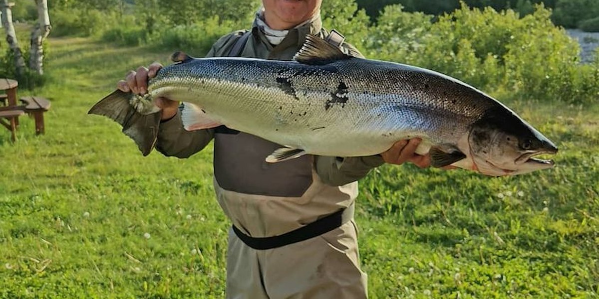 Stabbursdalen Resort image 19