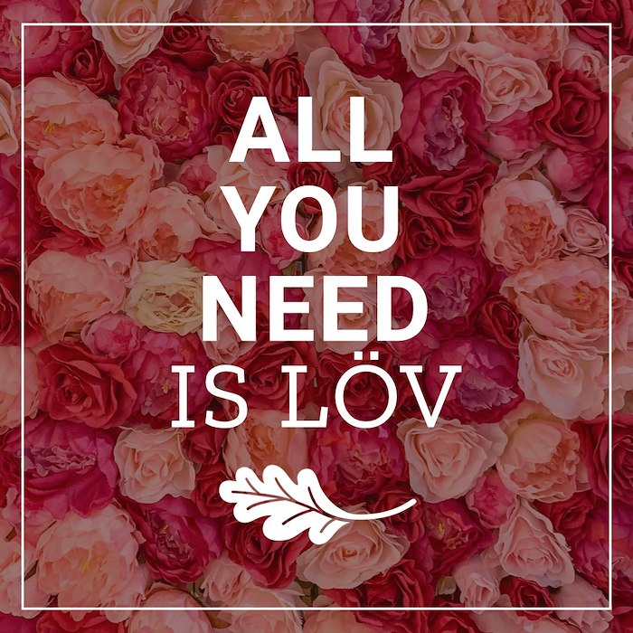 Primärbild av All you need is Löv!