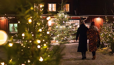 Boka Swedish Christmas Dinner Package