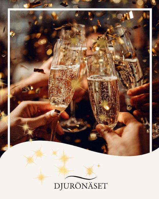 Primärbild av Långweekend Nyårsgala