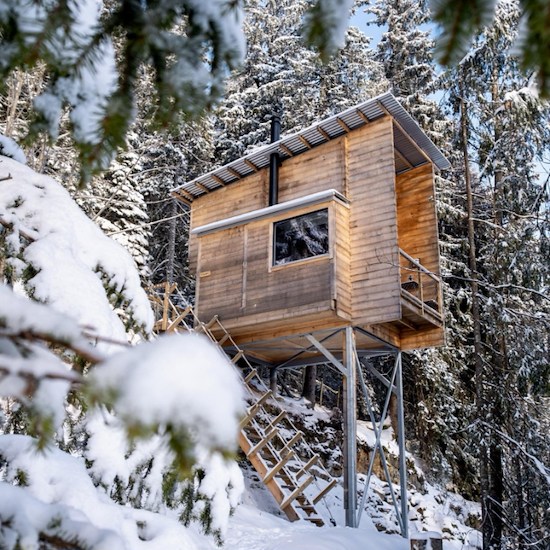 Vinter i en tretopphytte-image