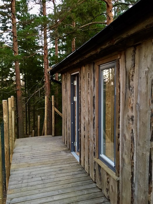 Primærbilde av Villmarksspa med overnatting i tretopphytta