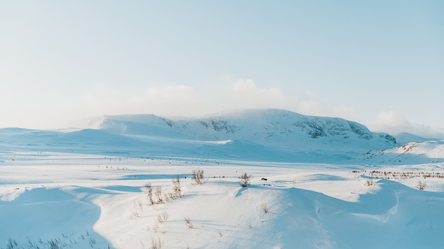 Primærbilde av Seniorpakke (62+)