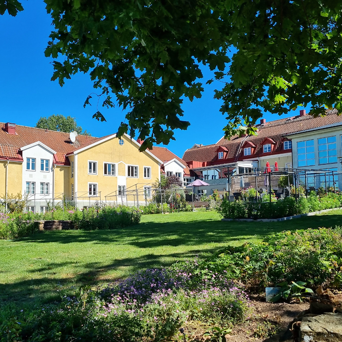 Primärbild av Sommarkväll på Öland