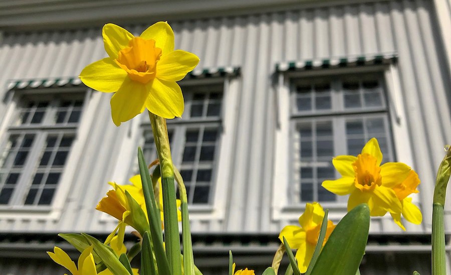 Primary image of Easter package at Tofta Herrgård