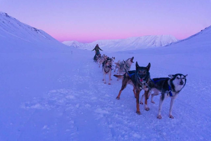 Primary image of February Adventurous Package: 3 nights + 2 tours