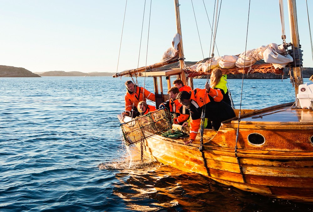 Hummersafari med 1 övernattning