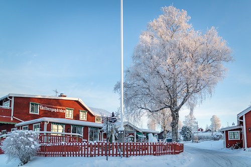 Boka Taste of Advent