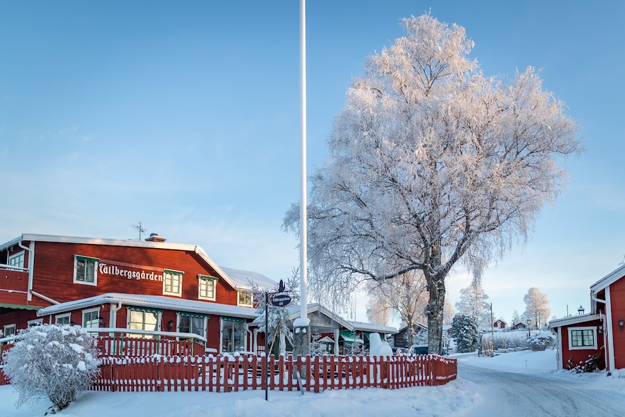 Primärbild av Smak av advent