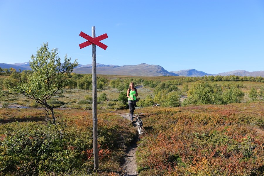Primärbild av Fjällvecka Torsdag - Torsdag