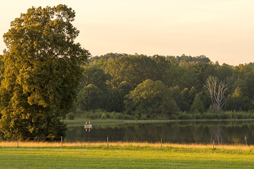Boka Weekend getaway - Forest, Lake & Pasture Meadow