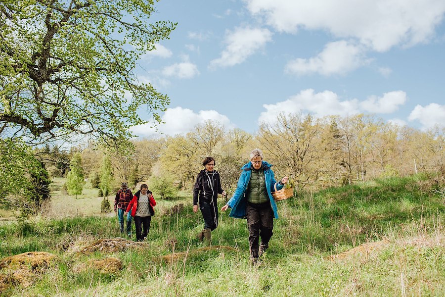 Primärbild av Vandra i Smålands Trädgård