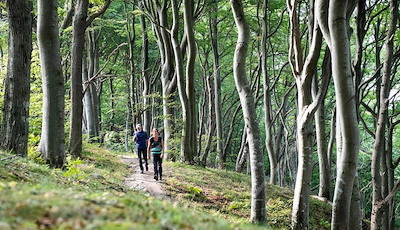 Boka Hiking Getaway
