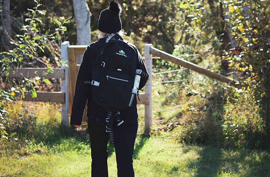 Primärbild av Vandringspaket