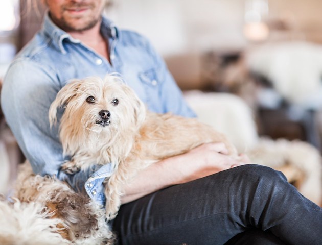 Boka Hotel package with your dog på Siggesta Gård