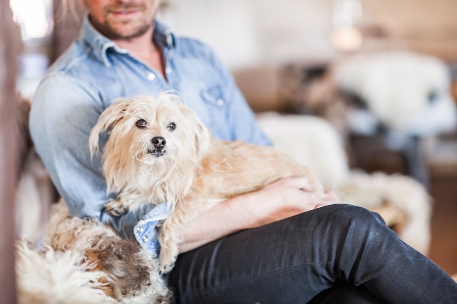 Primärbild av Hundpaketet