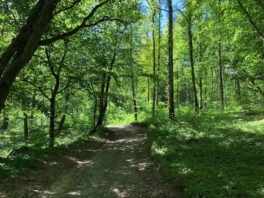 Day Hike with Spa