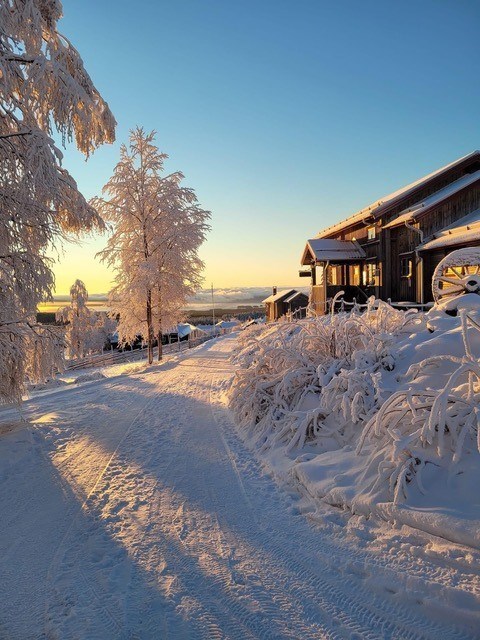 Julbordspaket 1 dygn