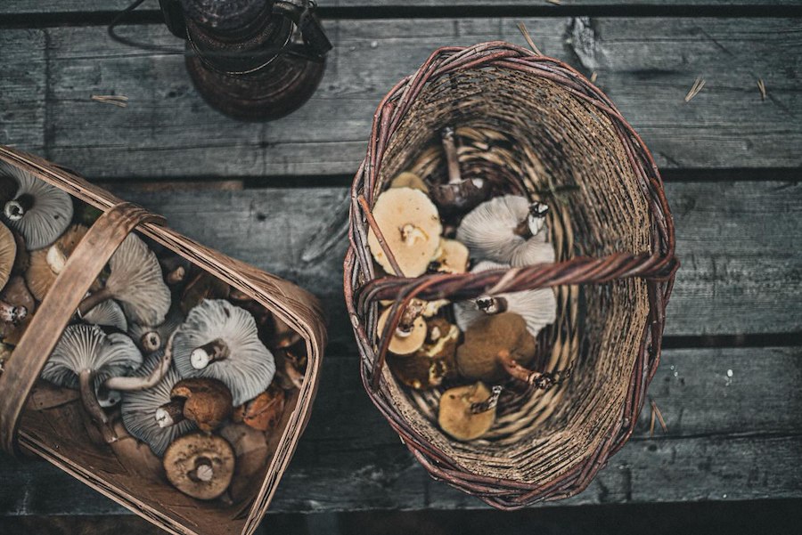 Primärbild av Weekend med Elles Utemat