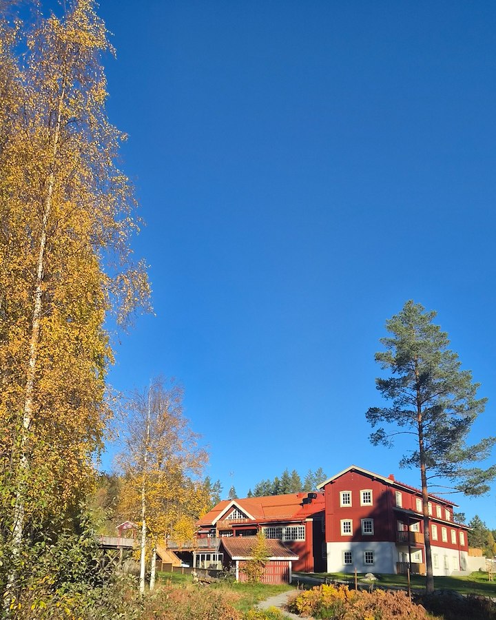 Höstpaket i Bjursås