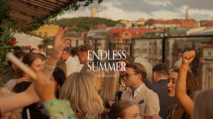 Primary image of Endless Summer