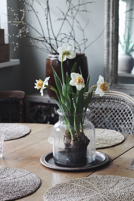 Primary image of Cozy easter in the Archipelago