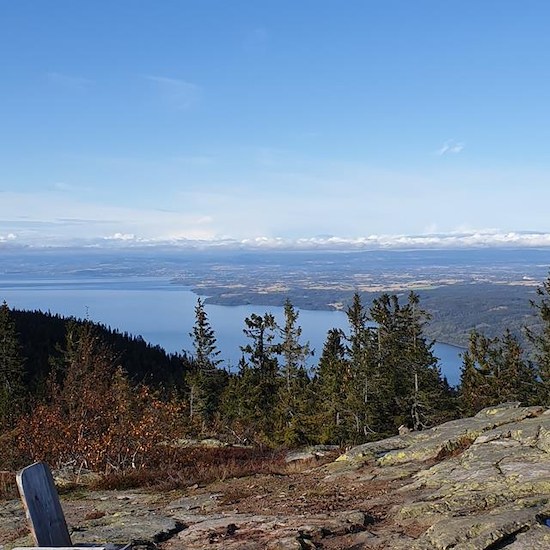 Skreikampen-image