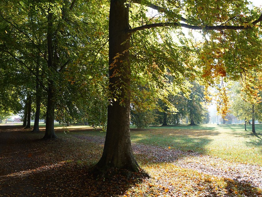 Bäckaskog Slott image 12