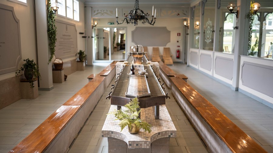 Primärbild av Early bird