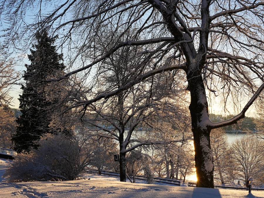 Primärbild av WINTER AFFAIRS