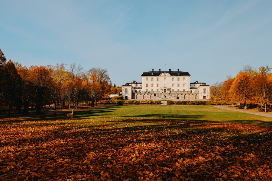 Vilthelg på Rosersbergs Slottshotell 7/11